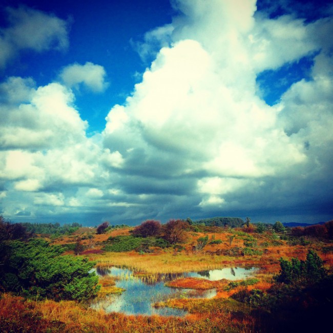 Haugesund Landscape by Joakim Lund